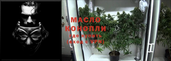 дживик Дмитриев