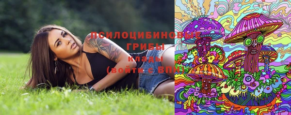 герыч Дмитров
