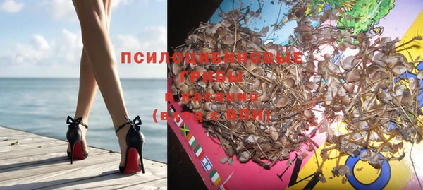 дживик Дмитриев