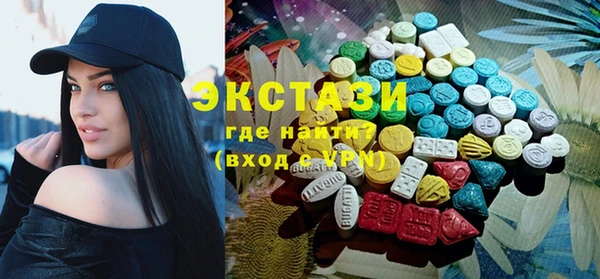 мдпв Ельня