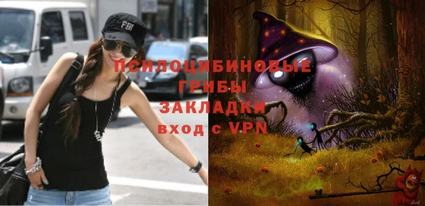 дживик Дмитровск