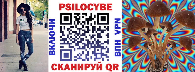 Галлюциногенные грибы Psilocybine cubensis Купить Кировград