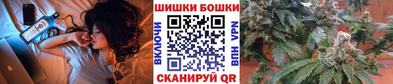 Купить закладки  Кировград  Шишки марихуана OG Kush 